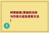 种黄精用(黄精的功效与作用介绍及使用方法)