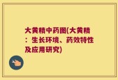 大黄精中药图(大黄精：生长环境、药效特性及应用研究)