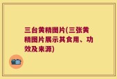 三台黄精图片(三张黄精图片展示其食用、功效及来源)