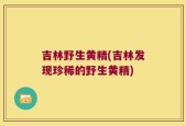 吉林野生黄精(吉林发现珍稀的野生黄精)