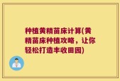 种植黄精苗床计算(黄精苗床种植攻略，让你轻松打造丰收田园)