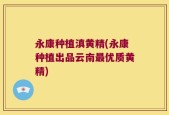 永康种植滇黄精(永康种植出品云南最优质黄精)