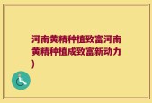 河南黄精种植致富河南黄精种植成致富新动力)