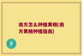 南方怎么种植黄精(南方黄精种植指南)
