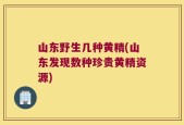 山东野生几种黄精(山东发现数种珍贵黄精资源)