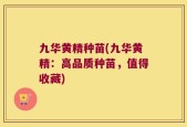 九华黄精种苗(九华黄精：高品质种苗，值得收藏)
