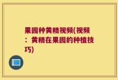 果园种黄精视频(视频：黄精在果园的种植技巧)