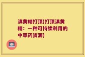 滇黄精打顶(打顶滇黄精：一种可持续利用的中草药资源)