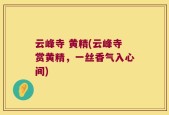 云峰寺 黄精(云峰寺赏黄精，一丝香气入心间)