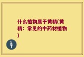 什么植物属于黄精(黄精：常见的中药材植物)