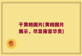 干黄精图片(黄精图片展示，尽显雍容华贵)