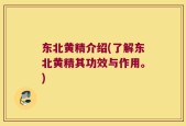 东北黄精介绍(了解东北黄精其功效与作用。)