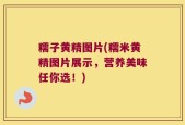 糯子黄精图片(糯米黄精图片展示，营养美味任你选！)