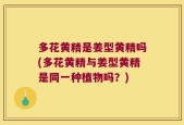 多花黄精是姜型黄精吗(多花黄精与姜型黄精是同一种植物吗？)