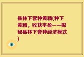 县林下套种黄精(种下黄精，收获丰盈——探秘县林下套种经济模式)