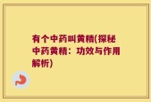 有个中药叫黄精(探秘中药黄精：功效与作用解析)