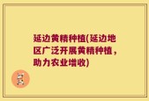延边黄精种植(延边地区广泛开展黄精种植，助力农业增收)