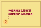 种植黄精怎么管理(黄精种植技巧与管理要点)