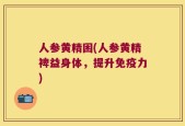 人参黄精困(人参黄精裨益身体，提升免疫力)