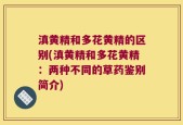 滇黄精和多花黄精的区别(滇黄精和多花黄精：两种不同的草药鉴别简介)