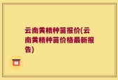 云南黄精种苗报价(云南黄精种苗价格最新报告)