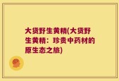 大货野生黄精(大货野生黄精：珍贵中药材的原生态之旅)