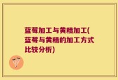 蓝莓加工与黄精加工(蓝莓与黄精的加工方式比较分析)