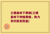 三穗县林下黄精(三穗县林下种植黄精，助力农村脱贫致富)