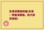 东港滇黄精种植(东港：种植滇黄精，助力扶贫增收)