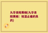 九华青阳黄精(九华青阳黄精：祛湿止痛的良药)