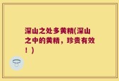 深山之处多黄精(深山之中的黄精，珍贵有效！)