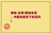 黄精 虫草(黄精虫草，中医双管齐下的灵药)
