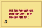 野生黄精和种植黄精效果(黄精的功效：野生和种植有何区别？)