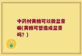 中药材黄精可以做盆景嘛(黄精可塑造成盆景吗？)