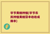 毕节黄精种植(毕节农民种植黄精获丰收收成颇丰)