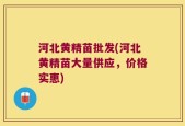 河北黄精苗批发(河北黄精苗大量供应，价格实惠)