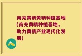 南充黄精黄精种植基地(南充黄精种植基地，助力黄精产业现代化发展)