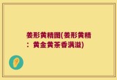 姜形黄精图(姜形黄精：黄金黄茶香满溢)