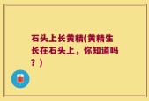 石头上长黄精(黄精生长在石头上，你知道吗？)