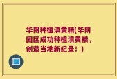 华阴种植滇黄精(华阴园区成功种植滇黄精，创造当地新纪录！)