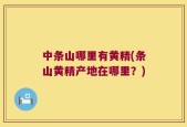 中条山哪里有黄精(条山黄精产地在哪里？)
