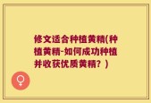 修文适合种植黄精(种植黄精-如何成功种植并收获优质黄精？)