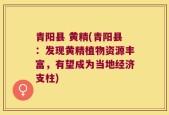 青阳县 黄精(青阳县：发现黄精植物资源丰富，有望成为当地经济支柱)