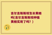 吉尔吉斯斯坦生长黄精吗(吉尔吉斯斯坦种植黄精实现了吗？)