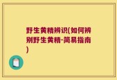 野生黄精辨识(如何辨别野生黄精-简易指南)