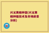 兴义黄精种苗(兴义黄精种植技术及市场前景分析)
