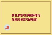怀化有野生黄精(怀化发现珍稀野生黄精)