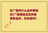 在广西种什么品种黄精好(广西黄精适宜种植哪些品种，你知道吗？)