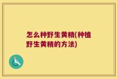 怎么种野生黄精(种植野生黄精的方法)