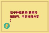 坛子种植黄精(黄精种植技巧，丰收秘籍分享)